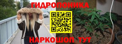 спиды Гусев