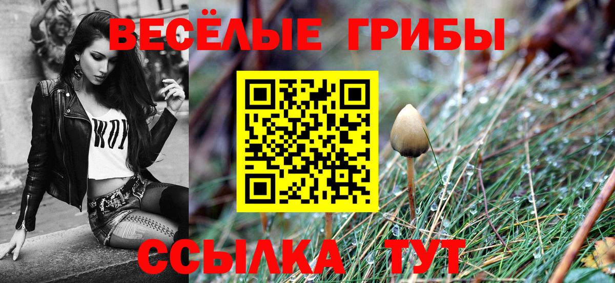 Псилоцибиновые грибы мухоморы Кемерово